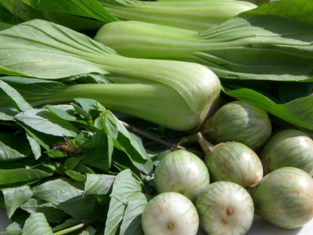 Vegetarian Thai Food � Wednesday 11, September 2013 at 19 h