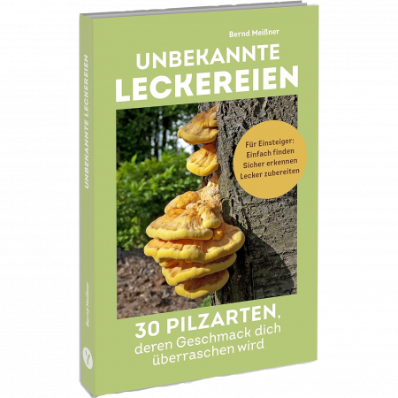 Bernd Meiner - Unbekannte Leckereien: 30 Pilzarten