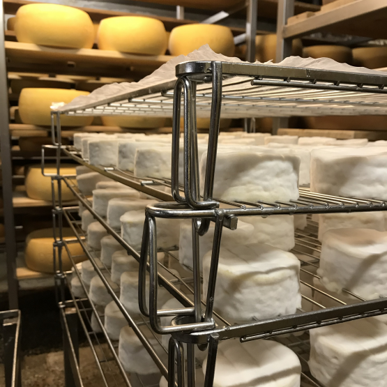 Discover German cheese in english - Bild 2 Discover German cheese in english - Bild 2