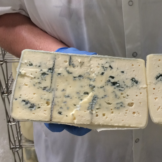 Käseschule Special: Deep Blue » Donnerstag, 12. März 2026 um 20 Uhr - Bild 3 Käseschule Special: Deep Blue » Donnerstag, 12. März 2026 um 20 Uhr - Bild 3