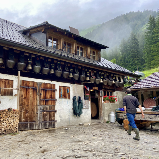 Käseschule Special: Käse aus den Alpen » Donnerstag, 17. September 2026 um 20 Uhr - Bild 2 Käseschule Special: Käse aus den Alpen » Donnerstag, 17. September 2026 um 20 Uhr - Bild 2