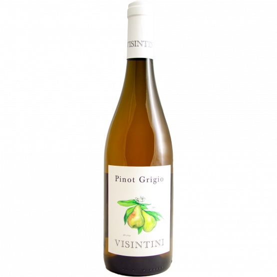 Visintini Pinot Grigio Friuli 2024 Visintini Pinot Grigio Friuli 2024