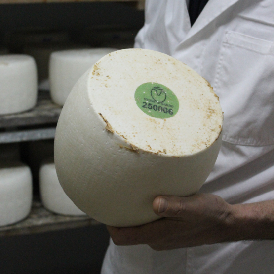 K�seschule Special: Let it b��� � Thursday, June 25, 2026 at 20 h - Image 3