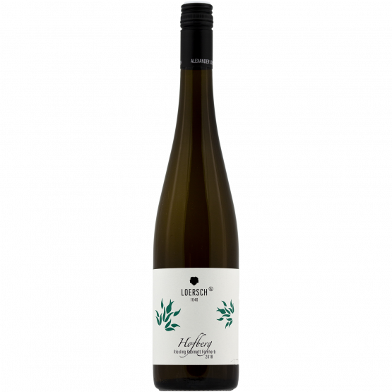 Loersch Dhroner Hofberg Riesling Kabinett feinherb Mosel 2021