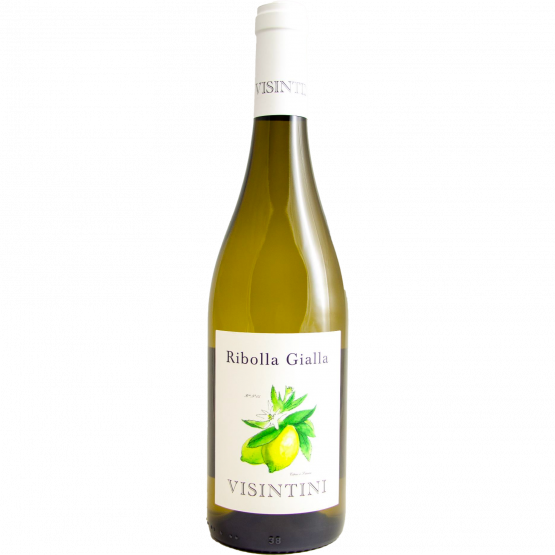 Visintini Ribolla Gialla Friuli 2024