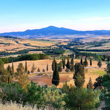 Die unentdeckten Weine Italiens