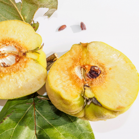 Quinces inbetween ducks and goats  Saturday, November 1, 2025 at 18 h